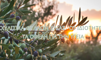 Εκχύλισμα Φύλλων Ελιάς - Πώς Παρασκευάζεται, τα Συστατικά, oι Ιδιότητες & τα Οφέλη για την Υγεία