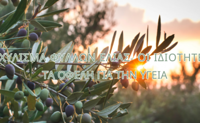 Εκχύλισμα Φύλλων Ελιάς - Πώς Παρασκευάζεται, τα Συστατικά, oι Ιδιότητες & τα Οφέλη για την Υγεία